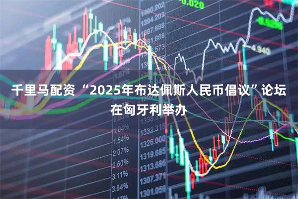 千里马配资 “2025年布达佩斯人民币倡议”论坛在匈牙利举办