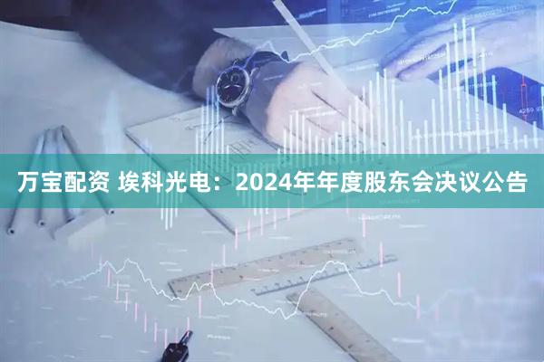 万宝配资 埃科光电：2024年年度股东会决议公告