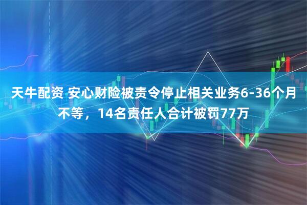 天牛配资 安心财险被责令停止相关业务6-36个月不等，14名责任人合计被罚77万