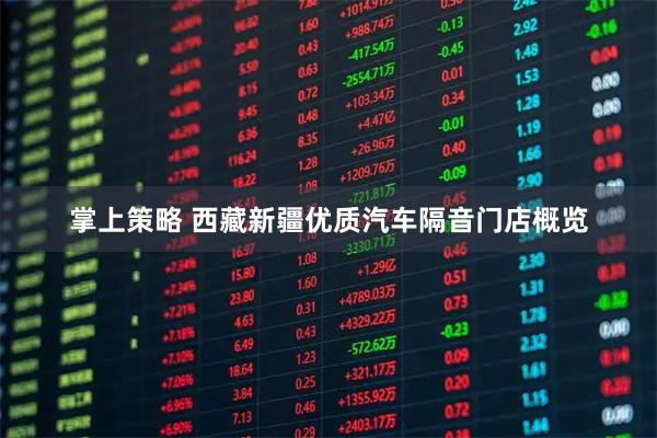 掌上策略 西藏新疆优质汽车隔音门店概览